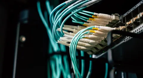Cabos de rede organizados e conectados em patch panel de rack